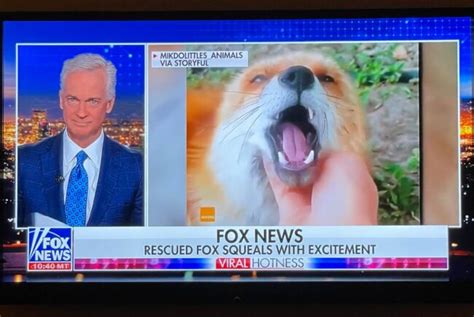 fox news odd news|Odd News .